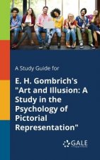 Study Guide for E. H. Gombrich's Art and Illusion