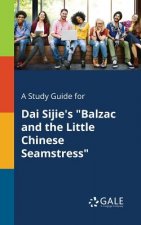 Study Guide for Dai Sijie's Balzac and the Little Chinese Seamstress
