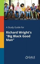 Study Guide for Richard Wright's Big Black Good Man