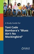 Study Guide for Toni Cade Bambara's Blues Ain't No Mockingbird