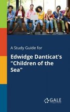 Study Guide for Edwidge Danticat's Children of the Sea