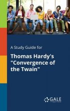 Study Guide for Thomas Hardy's Convergence of the Twain