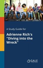 Study Guide for Adrienne Rich's Diving Into the Wreck