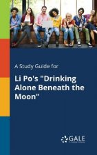 Study Guide for Li Po's Drinking Alone Beneath the Moon