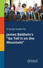 Study Guide for James Baldwin's Go Tell It on the Mountain