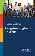 Study Guide for Langston Hughes's Harlem