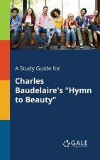 Study Guide for Charles Baudelaire's Hymn to Beauty