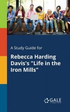 Study Guide for Rebecca Harding Davis's Life in the Iron Mills