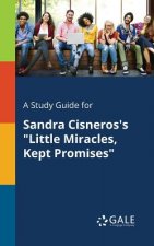 Study Guide for Sandra Cisneros's Little Miracles, Kept Promises