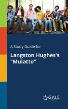 Study Guide for Langston Hughes's 