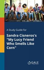 Study Guide for Sandra Cisneros's My Lucy Friend Who Smells Like Corn