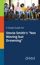 Study Guide for Stevie Smith's Not Waving But Drowning
