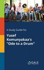 Study Guide for Yusef Komunyakaa's Ode to a Drum