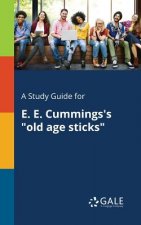 Study Guide for E. E. Cummings's Old Age Sticks