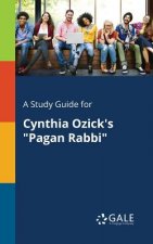 Study Guide for Cynthia Ozick's Pagan Rabbi