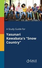 Study Guide for Yasunari Kawabata's Snow Country
