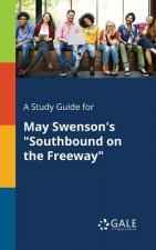 Study Guide for May Swenson's Southbound on the Freeway