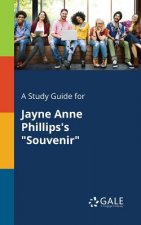 Study Guide for Jayne Anne Phillips's Souvenir