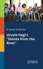 Study Guide for Ursula Hegi's Stones From the River