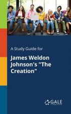 Study Guide for James Weldon Johnson's the Creation