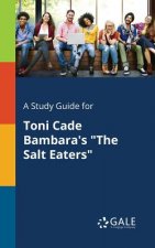 Study Guide for Toni Cade Bambara's the Salt Eaters