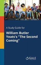 Study Guide for William Butler Yeats's The Second Coming