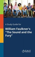 Study Guide for William Faulkner's The Sound and the Fury