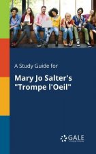 Study Guide for Mary Jo Salter's Trompe L'Oeil