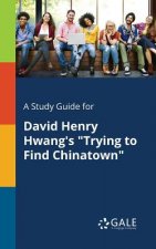 Study Guide for David Henry Hwang's 