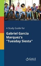 Study Guide for Gabriel Garcia Marquez's Tuesday Siesta