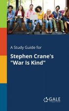 Study Guide for Stephen Crane's War Is Kind