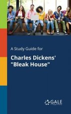 Study Guide for Charles Dickens' Bleak House