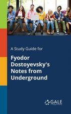 Study Guide for Fyodor Dostoyevsky's Notes from Underground