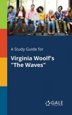 Study Guide for Virginia Woolf's The Waves