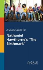 Study Guide for Nathaniel Hawthorne's the Birthmark