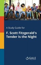 Study Guide for F. Scott Fitzgerald's Tender Is the Night