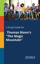 Study Guide for Thomas Mann's The Magic Mountain
