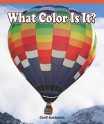 What Color Is It?