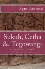 Sukuh, Cetha & Tegowangi: Die Funktion des Tempels für Reinigungsritual