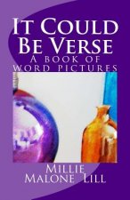 It Could Be Verse: A book of word pictures