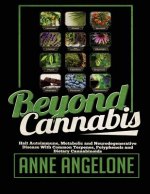 Beyond Cannabis: Halt Autoimmune, Metabolic and Neurodegenerative Disease With Common Terpenes, Polyphenols and Dietary Cannabinoids