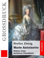 Marie Antoinette (Großdruck): Bildnis eines mittleren Charakters