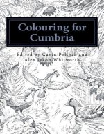 Colouring for Cumbria: Raising money for people affected by the floods in Cumbria and Northern England.