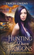 Hunting Down Dragons: an Urban Fantasy