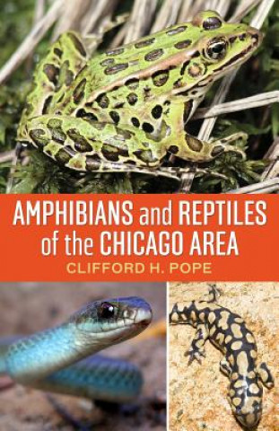 Amphibians and Reptiles of the Chicago Area