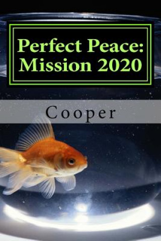 Perfect Peace: Mission 2020