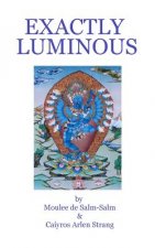 Exactly Luminous: The erotic spiritual poems of the 6th Dalai Lama, Tsanyang Gyatso