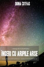 Ingeri Cu Aripi Arse: Mesaje de la Dumnezeu