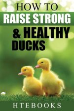 How to Raise Strong & Healthy Ducks: Quick Start Guide