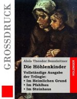 Die Höhlenkinder (Großdruck): Vollständige Ausgabe der Trilogie: Im Heimlichen Grund. Im Pfahlbau. Im Steinhaus
